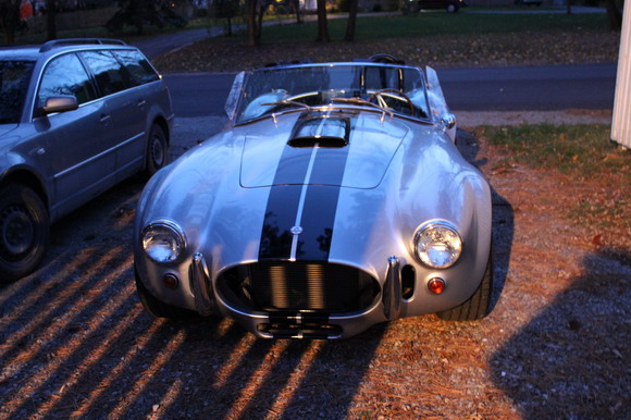 cobra