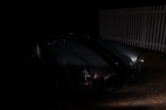 cobra