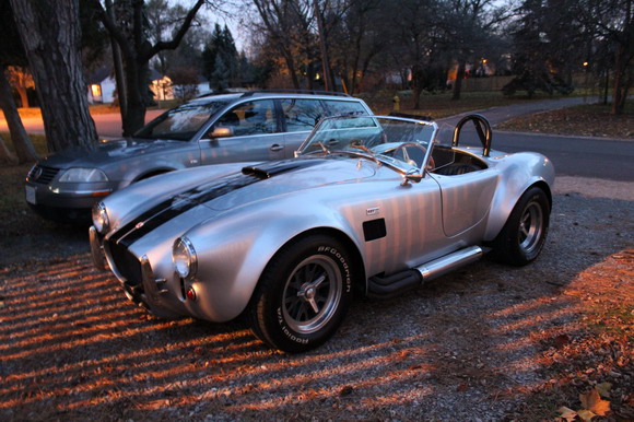 cobra