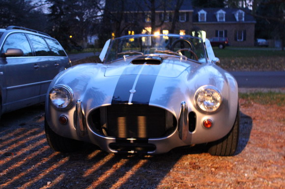 cobra