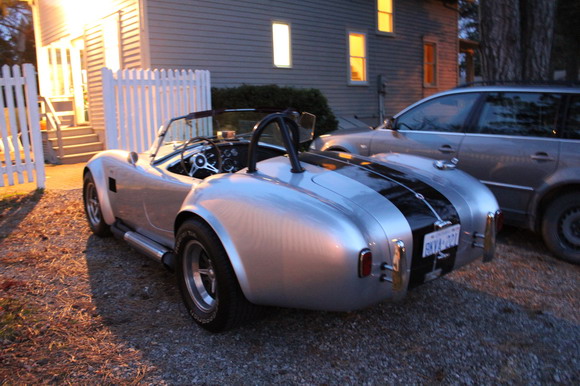 cobra