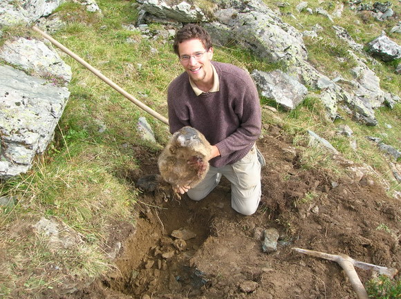 Murmeltier Jagd