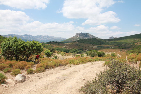 sardinien_ost