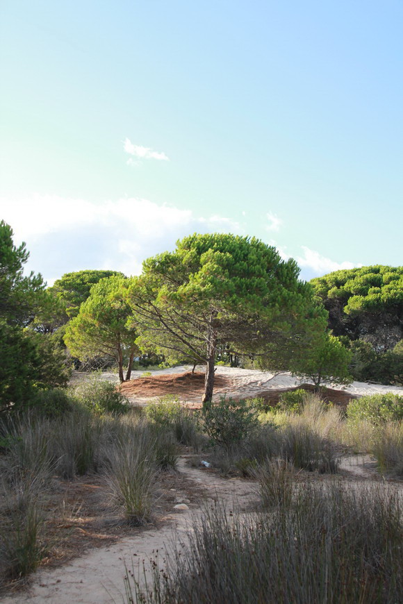 sardinien_ost