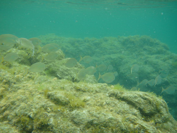 sardinien_ost
