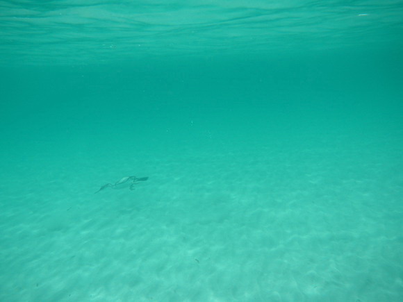sardinien_ost