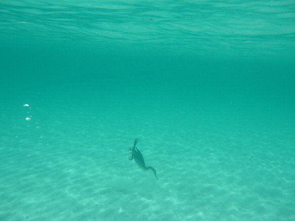 sardinien_ost