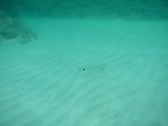 sardinien_ost