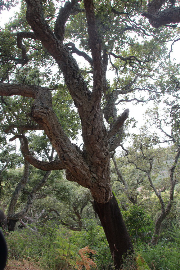 sardinien_west