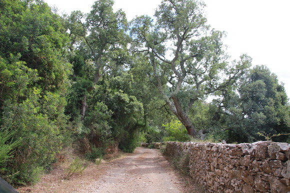 sardinien_west