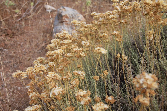 sardinien_west
