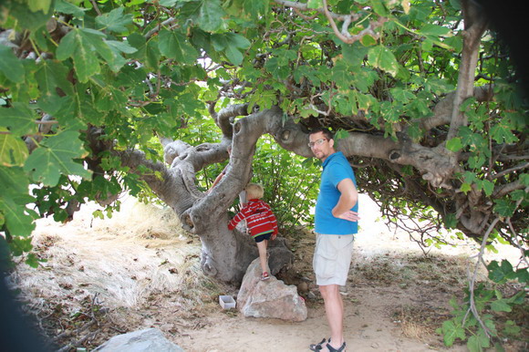 sardinien_west
