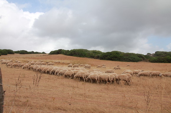 sardinien_west