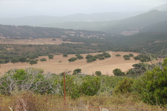 sardinien_west