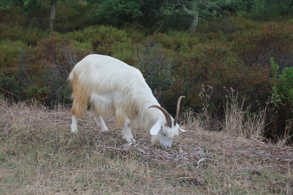 sardinien_west