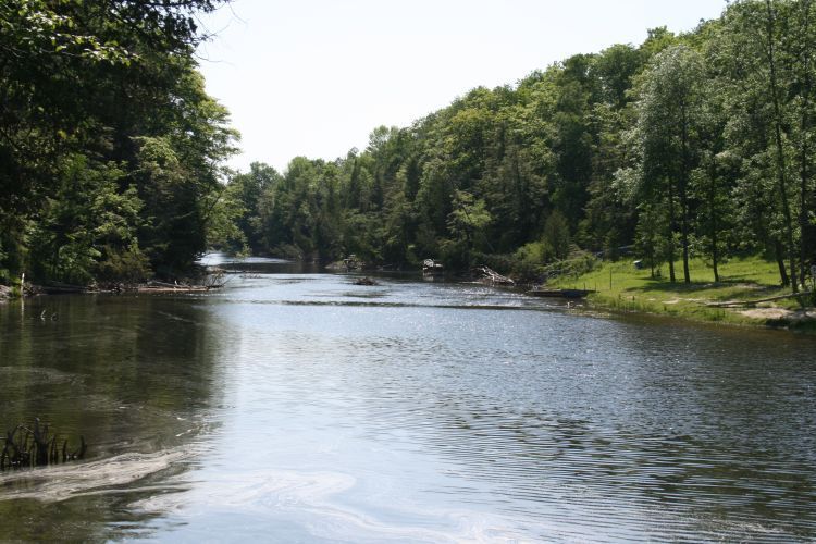 bruce%20_peninsula_021.jpg