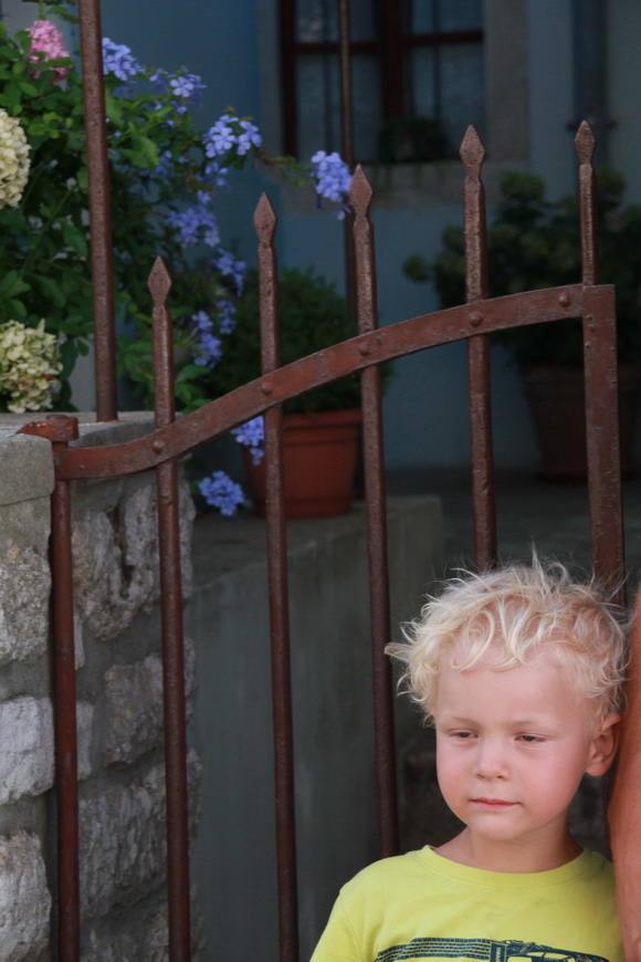 baldarin_2015