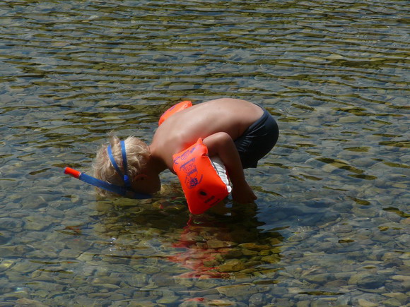 baldarin_2015