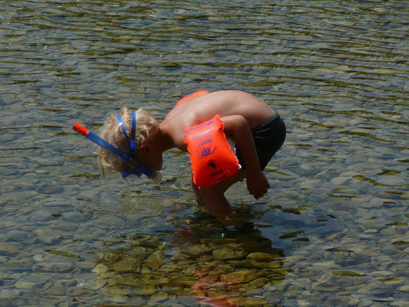 baldarin_2015