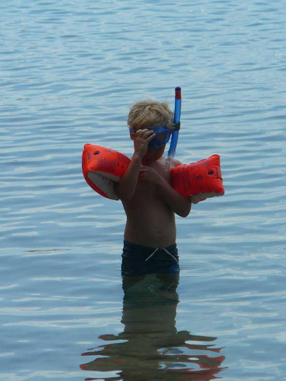 baldarin_2015