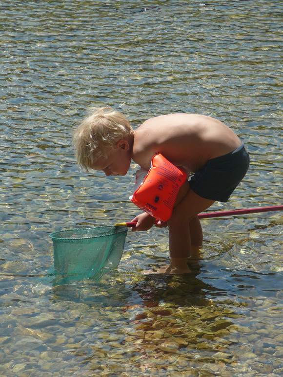 baldarin_2015