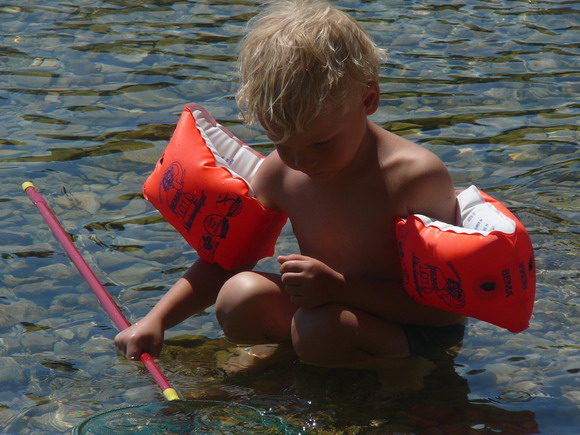 baldarin_2015