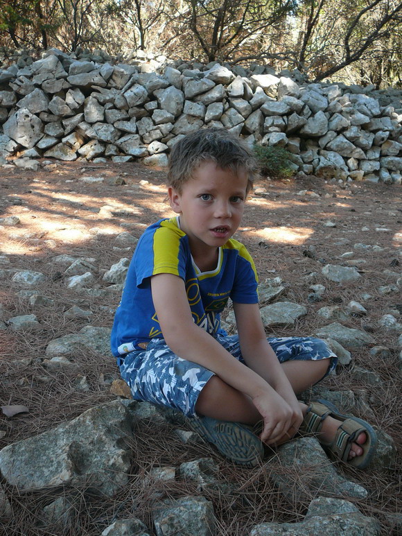 baldarin_2015