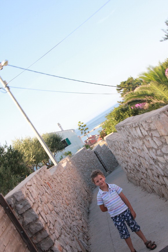 mali_losjinit_2015