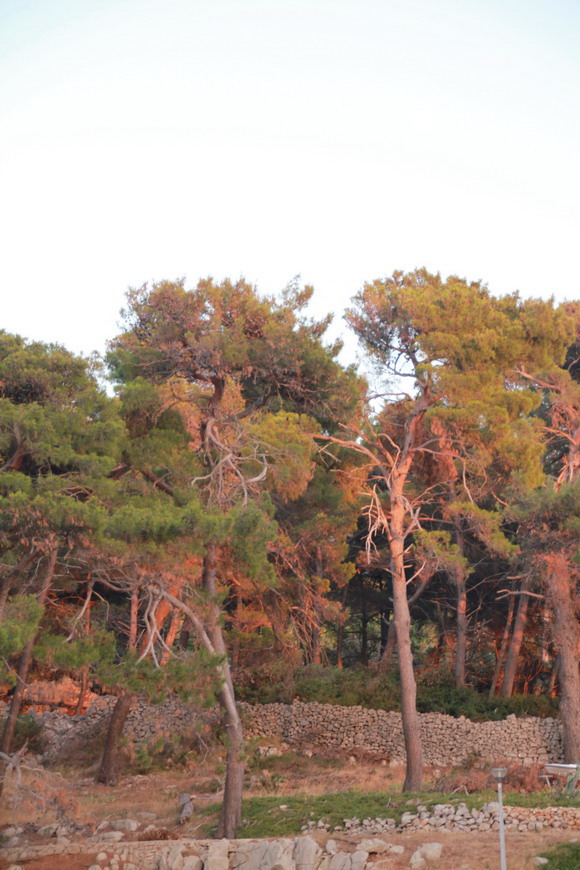 mali_losjinit_2015