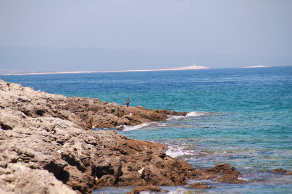 mali_losjinit_2015