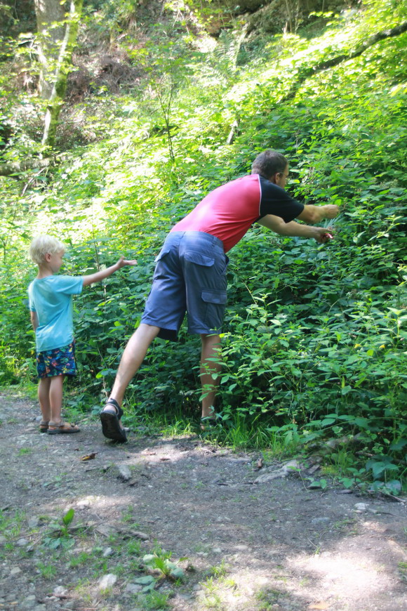 schalkham_schlucht