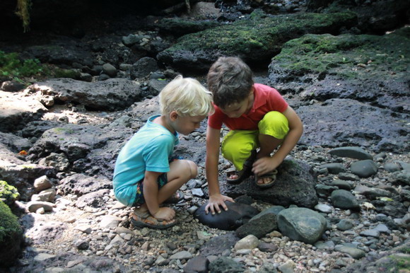 schalkham_schlucht