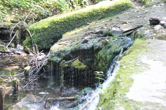 schalkham_schlucht