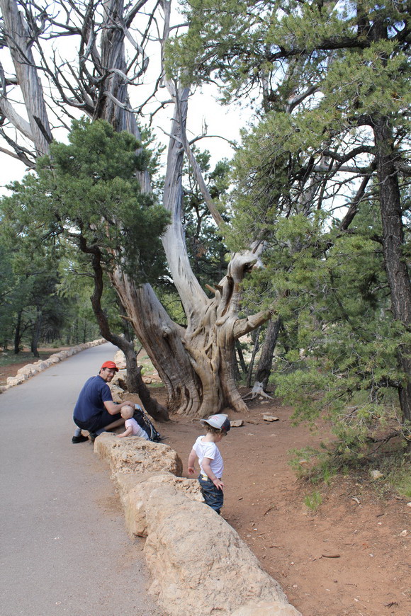 grand_canyon