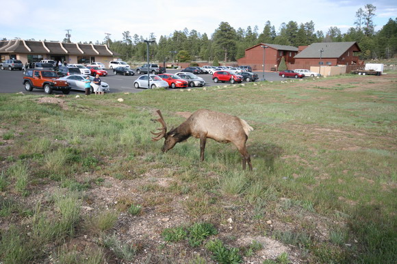 tusayan