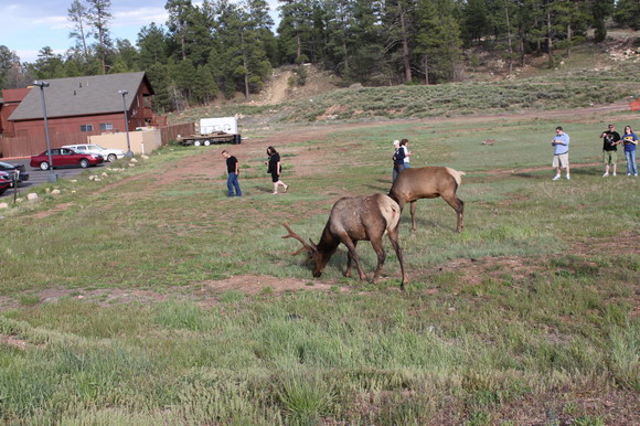 tusayan