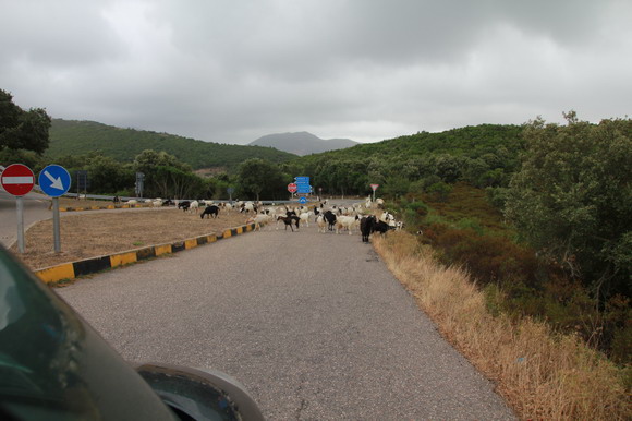 sardinien_west