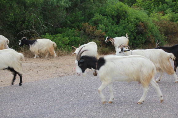 sardinien_west