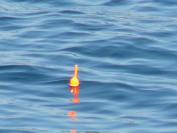 Noch immer kein Biss